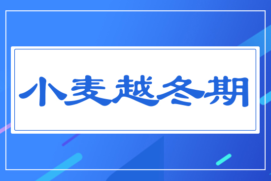 С��Խ����