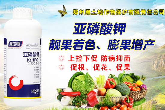 2022��2��19�����@��(b��o)�r(ji��)�Ƕ�����