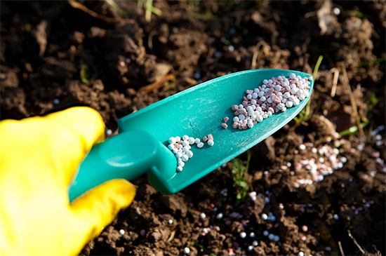 �ذ������ߌóɶ��N�I(y��)���[�����n11��18��