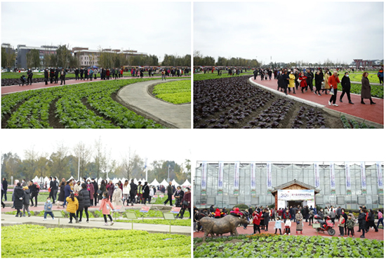 �ذ������ߌóɶ��N�I(y��)���[�����n11��18��