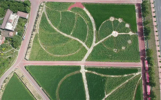 �ذ������ߌóɶ��N�I(y��)���[�����n11��18��