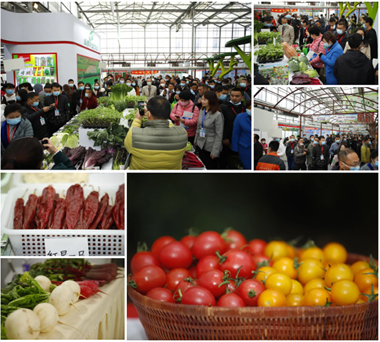 �ذ������ߌóɶ��N�I(y��)���[�����n11��18��