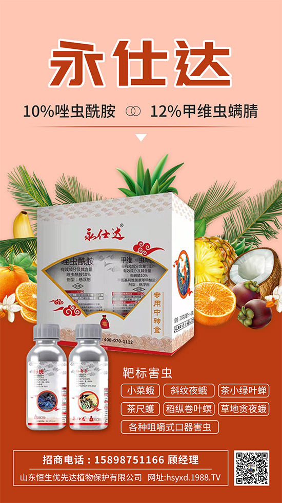 С�˶��η����y��С�˶�Σ���Y����δ�ʩ��