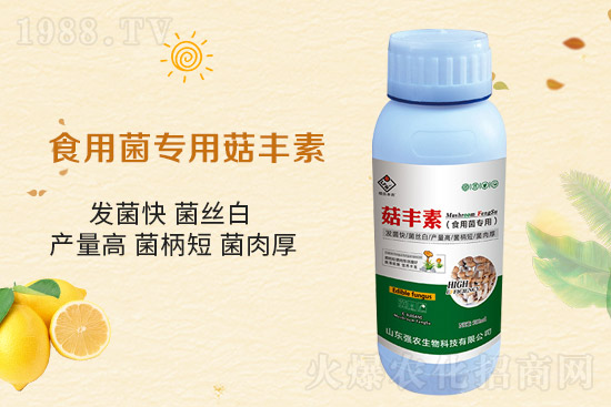 ƽ������Ҫ�c����Ҫע����Щ�����