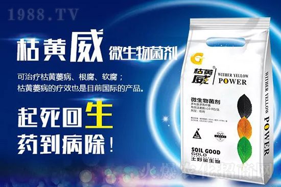 ���Sή�����ݵȲ������Ӝ皢�������͉��ˣ�