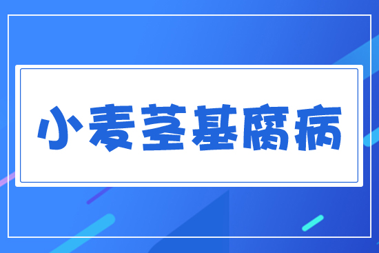 С���o������