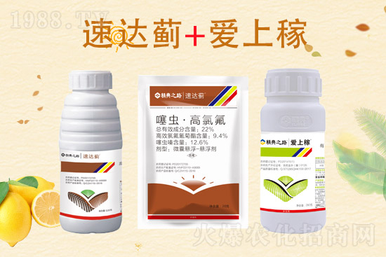 2022.4.11���ͪ?d��)��x���r���߄�