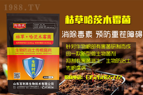 ���������l(f��)��ô��������������ʲôˎ�÷���Ч���ã�