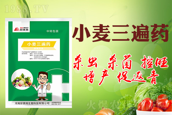 С���ɴ�����ˎ�������a(ch��n)����Ч��С������ˎʲô�r(sh��)�����