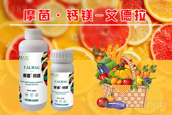 �����a�}�S���ځ���������a���}�V����