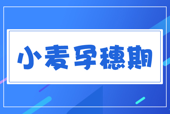 С��������