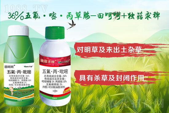 2022.4.19�׻�����¡���݄��r��