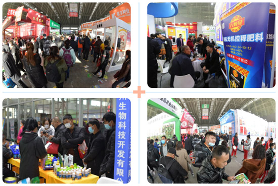 2022�����I�r(n��ng)�Y���[��12