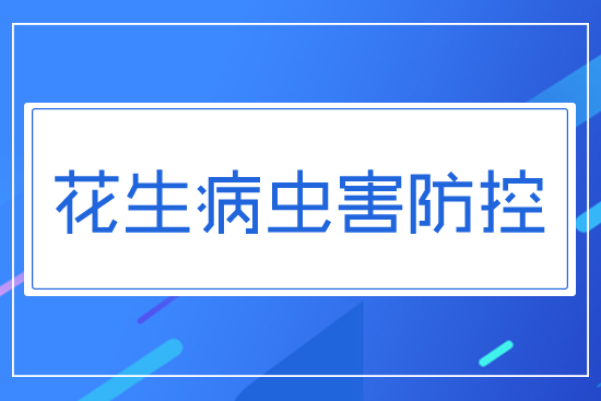 �������x(ch��ng)��