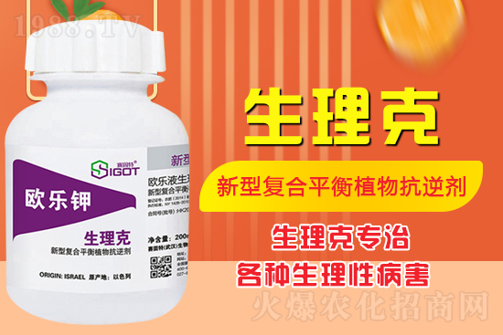 ����Ě������ʲô�Y������ô��Q����Ě������