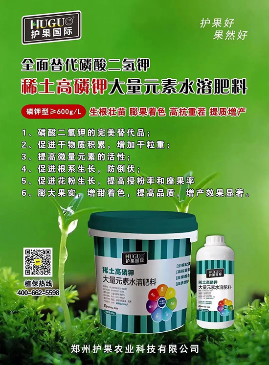 ⛷ʴ�q�r���@�N⛷���ݶ��ϣ����������������ռ���f�Ј�