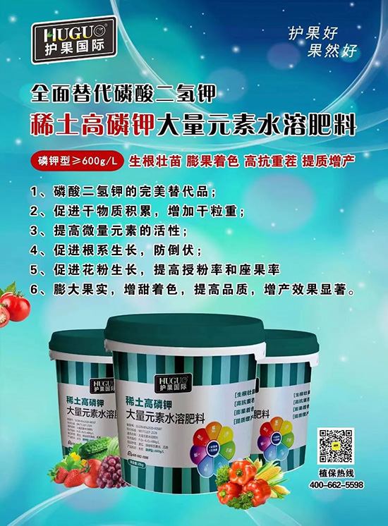 ⛷ʴ�q�r���@�N⛷���ݶ��������������������ռ���f�Ј�