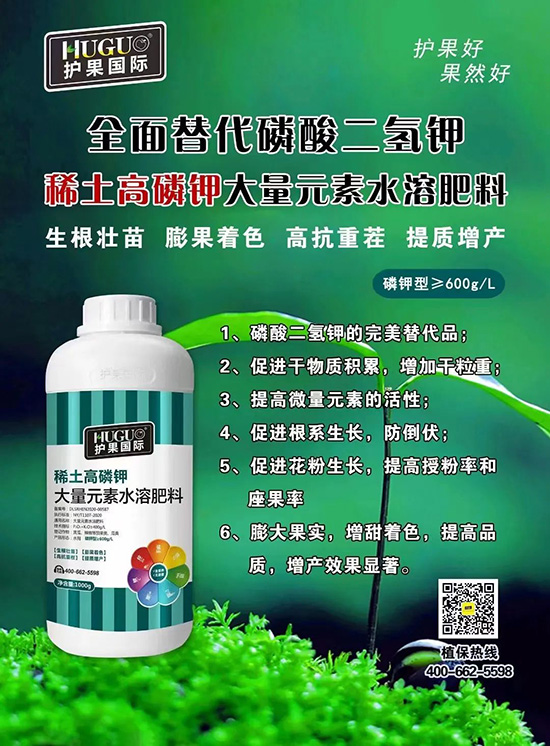 ⛷ʴ�q�r���@�N⛷���ݶ��ϣ����������������ռ���f�Ј�