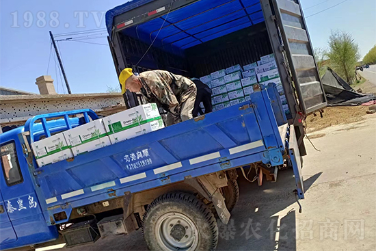 ���N��Ʒ����(sh��)���S��������2̖(h��o)�l(f��)؛��ͣЪ