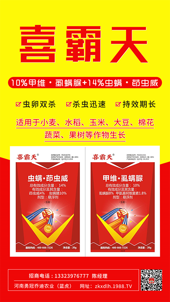 С�˶��������xΣ����̫�y���@����ˎ��һ��һ����!