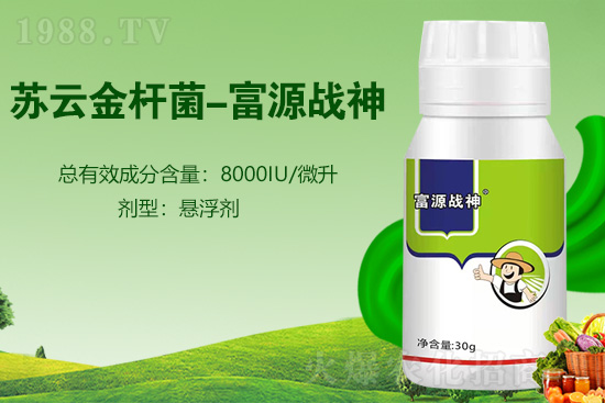 2022�������ش��x�����ؼ��g(sh��)����