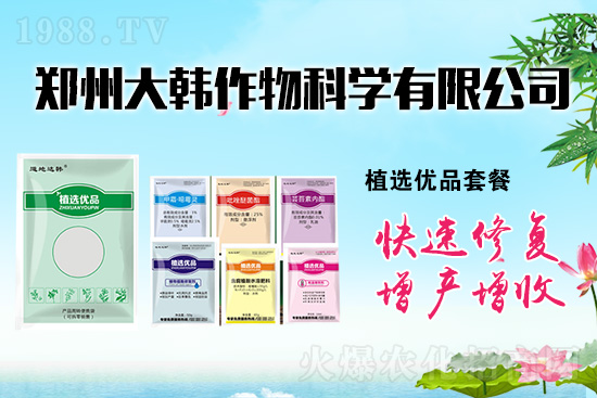 ����ˎ���ʺ��l�l(f��)��ô�k���l(f��)��ˎ���ʺ�����a����