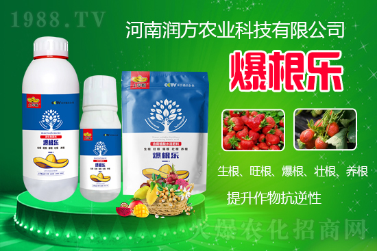     ���ϝ����r(n��ng)�I(y��)�Ƽ����޹�˾��΢�������-������-����ñ���Ɏ���ֲ�ｨ�����я���ĸ�ϵ�����Mֲ������B(y��ng)����ˮ���c���w�������������������������������Ѹ����B(y��ng)�������������ԡ�