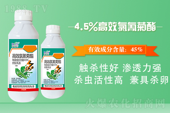 �ײ˲����x(ch��ng)��ʲôΣ�����ײ˲����x(ch��ng)����