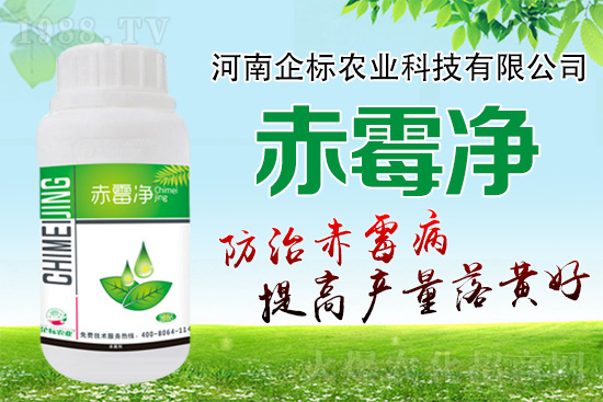 �o�����ѣ�δ��ʮ����С����ù�������P(gu��n)�I������(w��)��ץס��