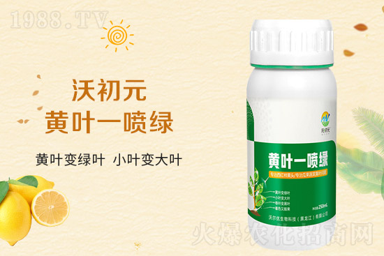 �����~Ƭ��ʲô�l(f��)�S��