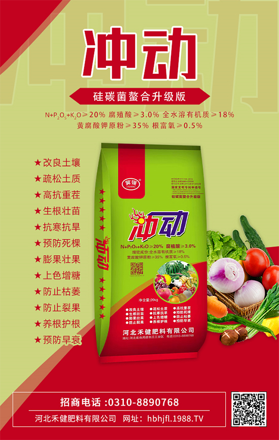 �ӱ��̽��������޹�˾15