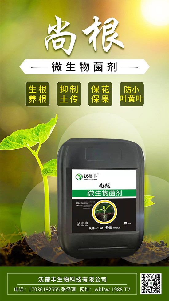 ��ô����׌���������Ѹ������@����׌��������������