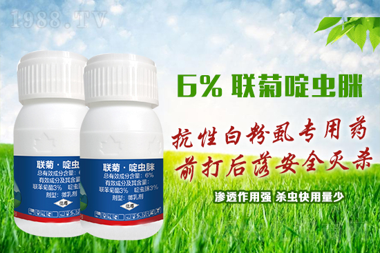 ���԰׷�ʭ�y�����y�����@����ˎ�x���p�������x��