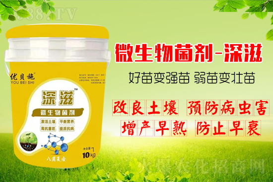 ������α��l(f��)ʽ�������������B(y��ng)�������������