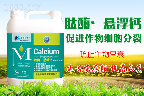 �O���仨���a�}���P(gu��n)�I���O���a�}���Ă��`�^(q��)��֪������