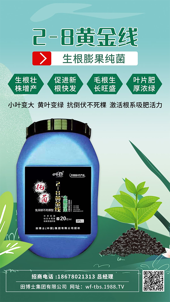 ���Ƿʵ������f�����L����ϵ�����ﱬ�l(f��)����ԇԇ�@һ��! 