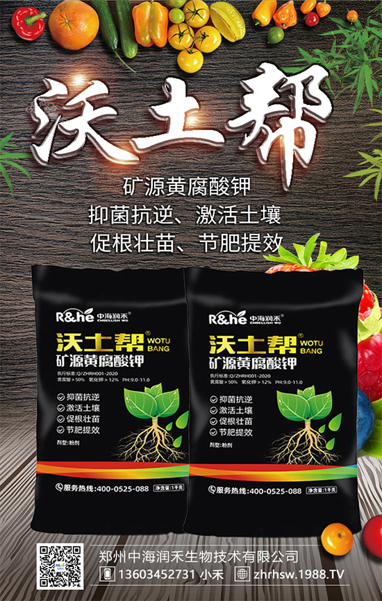 �VԴ�S�������ô�ã��ŵ���������ܿ���Ч����