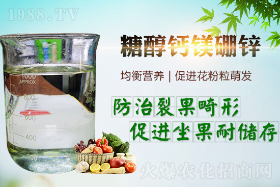     �����_���������ж���Ҫ���_�������ڵ����c��������