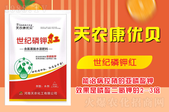 ���������ʲô���������˽����