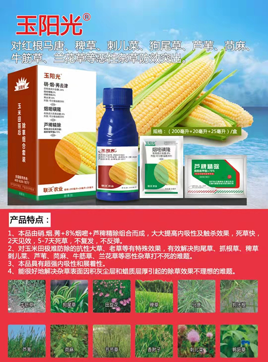 ����(li��n)���r�I(y��)�Ƽ����޹�˾17