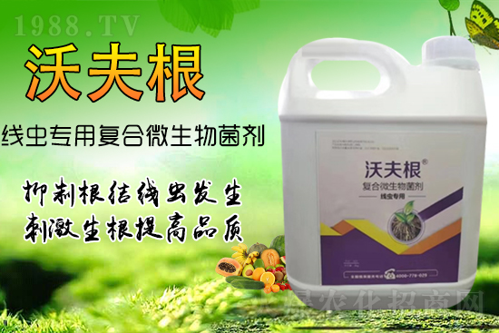 ���Y���x��Ⱦ������������������������Ч����!