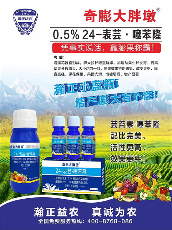     ������Ҫ�߮a(ch��n)��������P(gu��n)�I�����������졢�D(zhu��n)ɫ�����u��������ڵĮa(ch��n)����Ʒ�|(zh��)�����������S��Ĺ��r(n��ng)���r(n��ng)������ӳ�Լҵ���������ס���������������������������������ܛ���չ�����r�l���l(f��)����