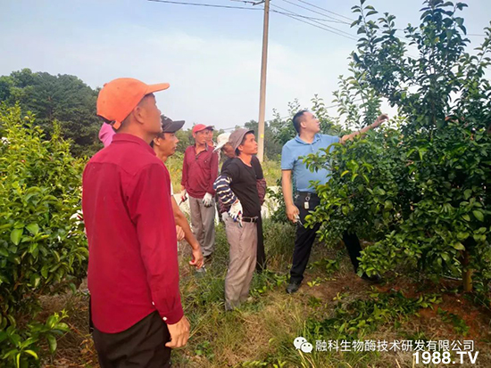 ���M(j��n)���g���^���������ٮa(ch��n)�I(y��)