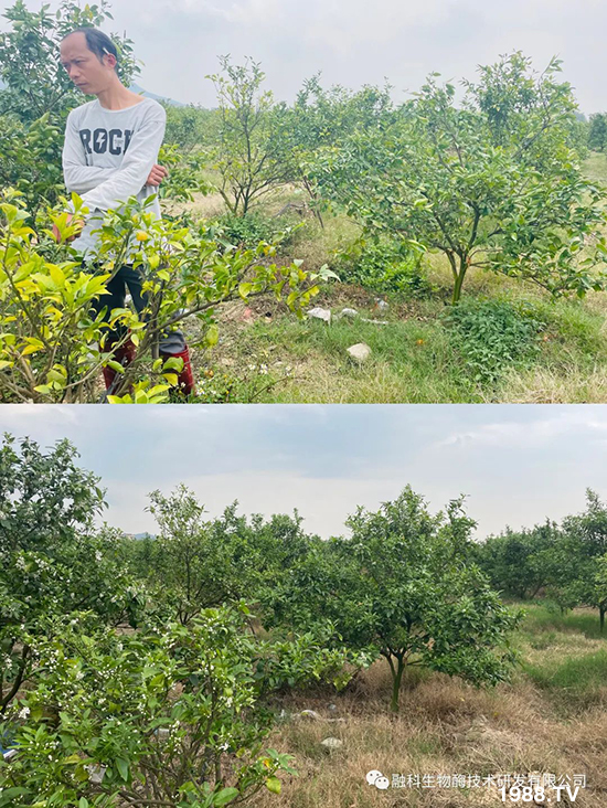 ���M(j��n)���g���^���������ٮa(ch��n)�I(y��)