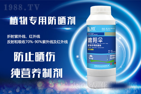 �ߜ������u������������E�[���쿴�������ˆ�? 