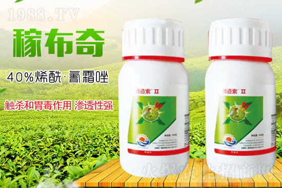 ɽ�|��Ƚ���W(xu��)���޹�˾11