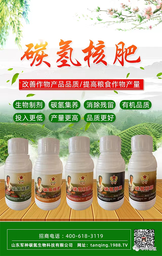 ɽ�|܊��̼������Ƽ����޹�˾13