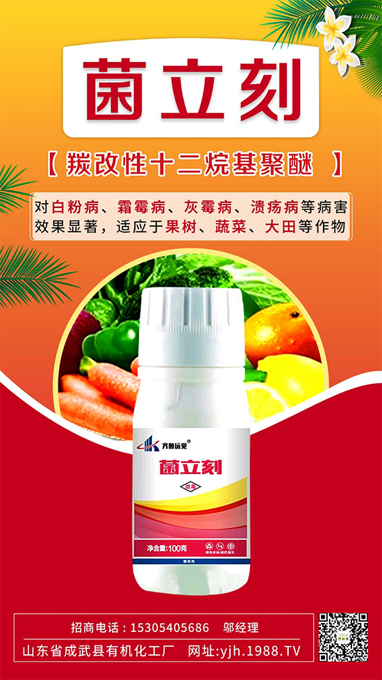 ����˪ù��߀�ǰ׷۲����e��ɵɵ�ֲ���������ηֱ漰���Σ�