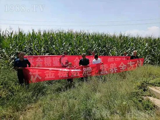     �@�����۷��r(n��ng)�YȦ������ԭ����Ȼ���ͳɱ��߷�Ч�_(k��i)��(chu��ng)����