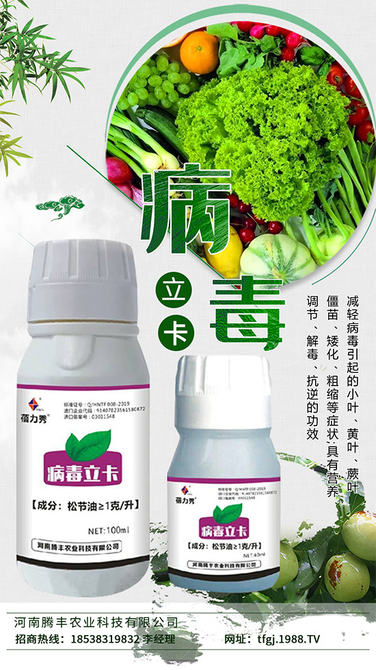     ������һ�N����ֲ�ﲡ����������Ĳ������N�����Σ�����׵��y��������Ⱦ�߲�ֲ����(hu��)�c�߲ˠ�(zh��ng)�Z���L(zh��ng)������B(y��ng)����ͬ�r(sh��)��(hu��)Ӱ�ֲ����B(y��ng)�ւ�ݔ�����ƹ�����õ��M(j��n)��